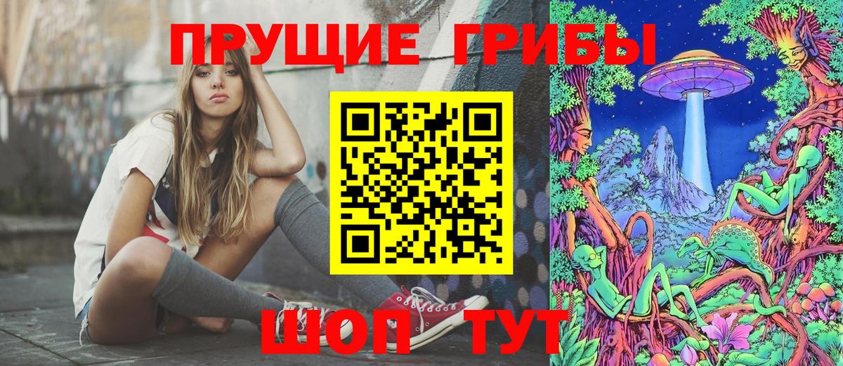 Псилоцибиновые грибы мицелий Удомля